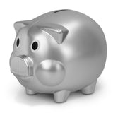 Piggy Bank - 100572 own