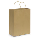 Paper Carry Bag - Large - 107590 own