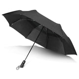 Director Umbrella - 120307 own