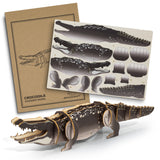 BRANDCRAFT Crocodile Wooden Model - 124045 main