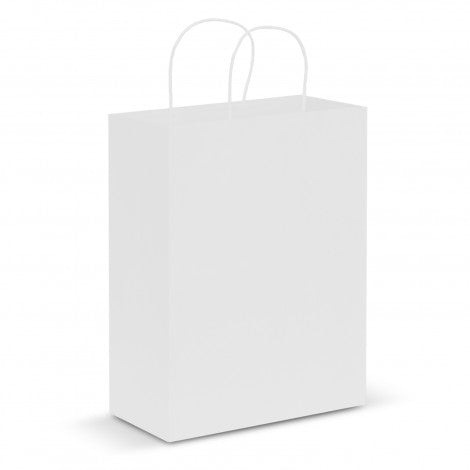 Paper Carry Bag - Large - 107590